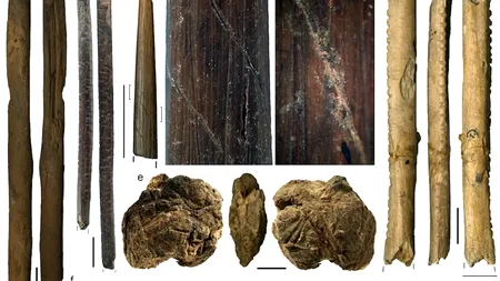 Descoperirea arheologică din Africa de Sud care ar putea să rescrie istoria evoluției omului