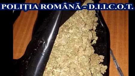 Captură impresionantă făcută de polițiștii antidrog: Aproape 30 de kilograme de droguri și peste 10.000 euro, ridicate de autorități - VIDEO 