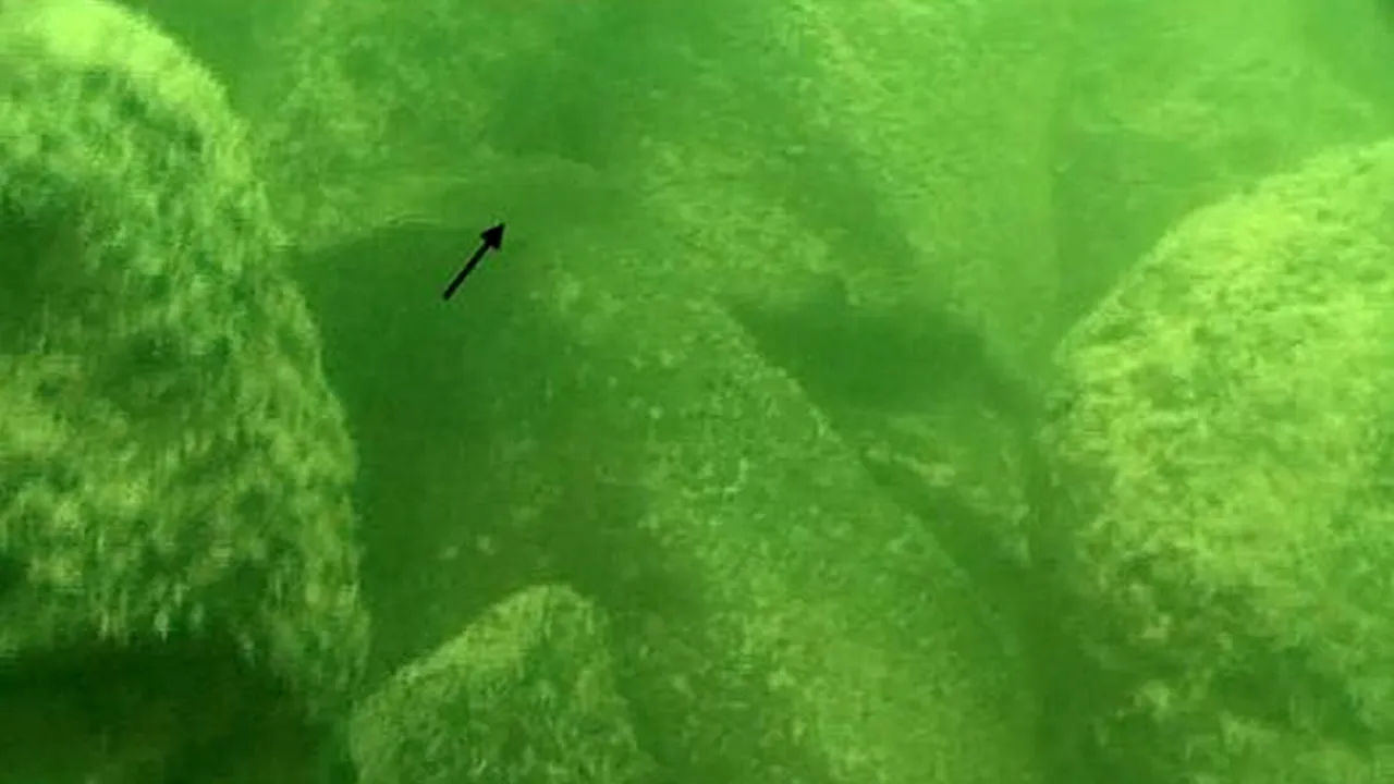 Structura MISTERIOASĂ descoperită în Israel. Nici măcar cercetătorii nu știu ce reprezintă