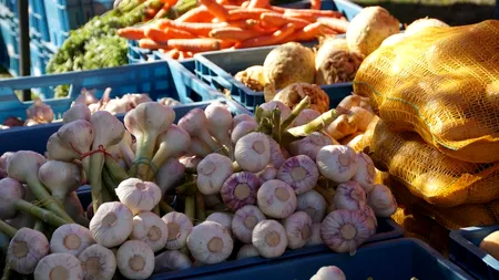 FERMITATE. Mesaj guvernamental cu impact asupra vânzării de produse alimentare. Lovitură devastatoare pentru samsari, speculanți și falși producători