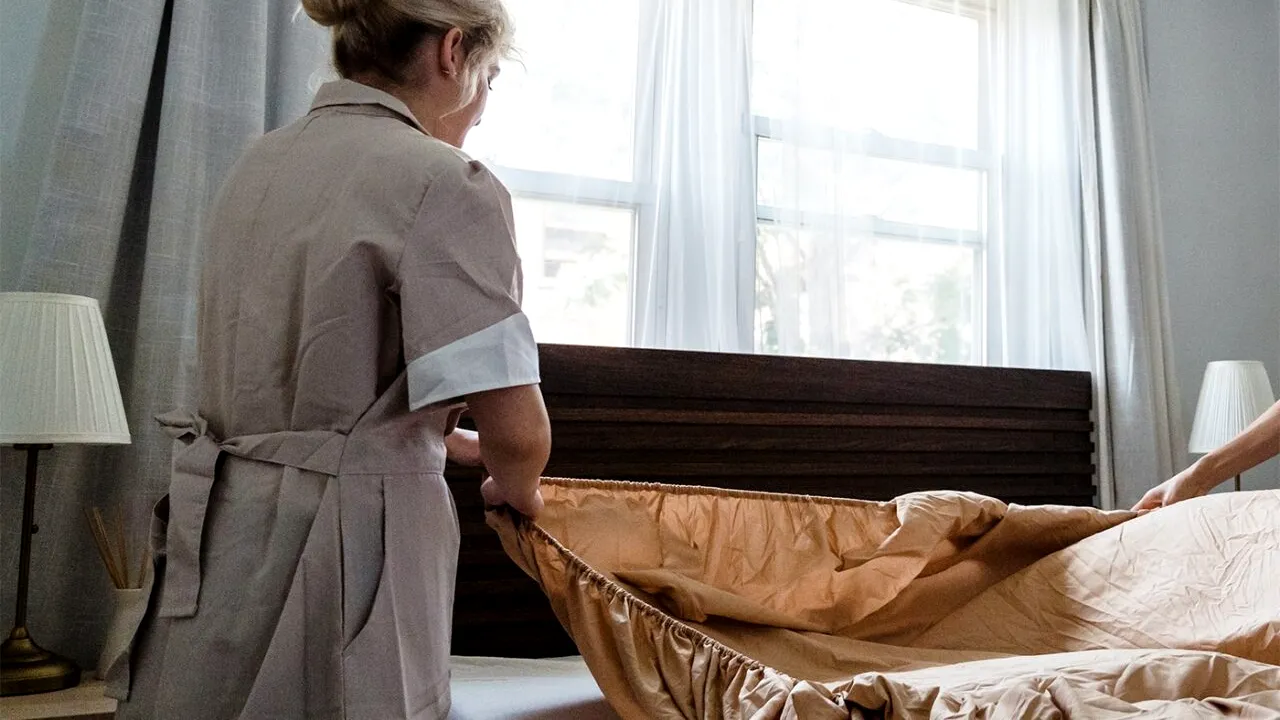 Ministerul Muncii propune acordarea de TICHETE pentru activităţi casnice. Valoarea unui tichet – 15 lei