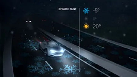 Olandezii au inventat AUTOSTRADA FOSFORESCENTĂ