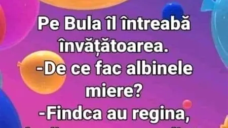 BANC | „Bulă, de ce fac albinele miere?”