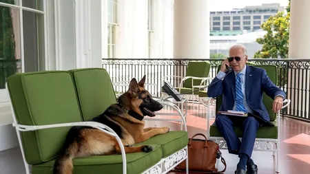 Câinele lui Joe Biden, Commander, a mușcat 7 agenți Secret Service. Președintele îl trimite la reeducare