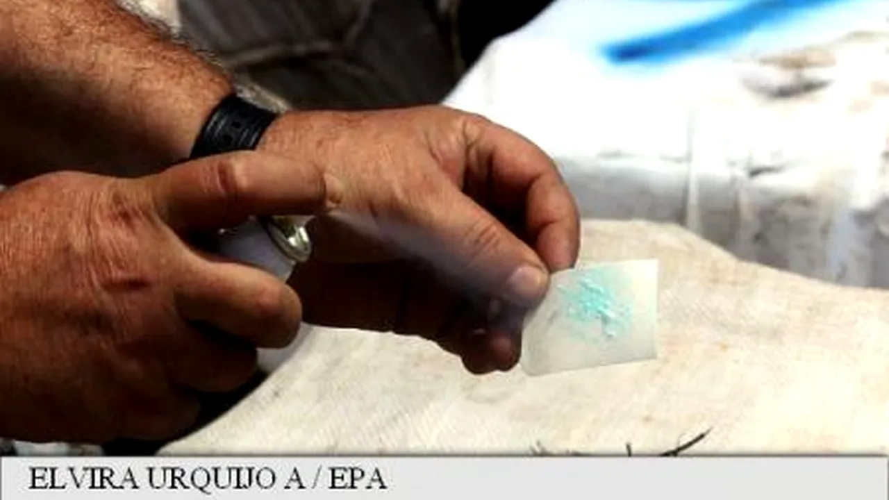 Descoperire alarmantă în Oceanul Pacific. Polițiștilor columbieni nu le-a venit să creadă