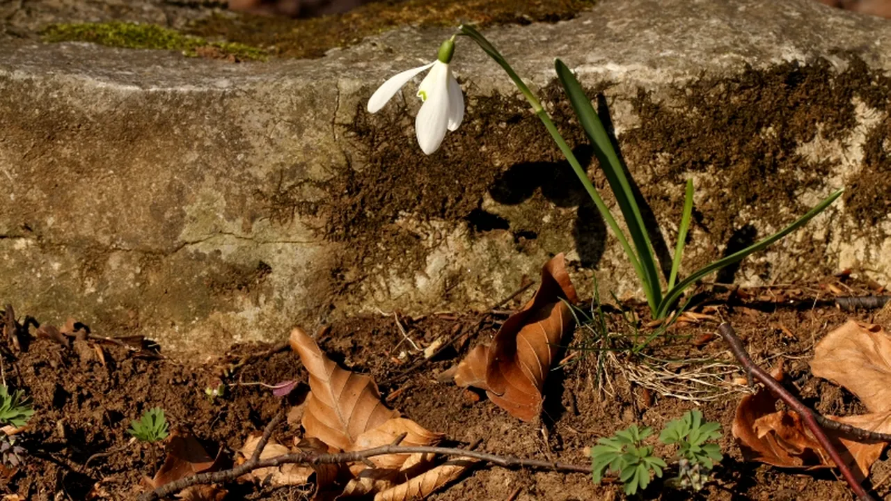 VREMEA. Temperaturile încep să crească în toată țara. Prognoza meteo pentru weekend