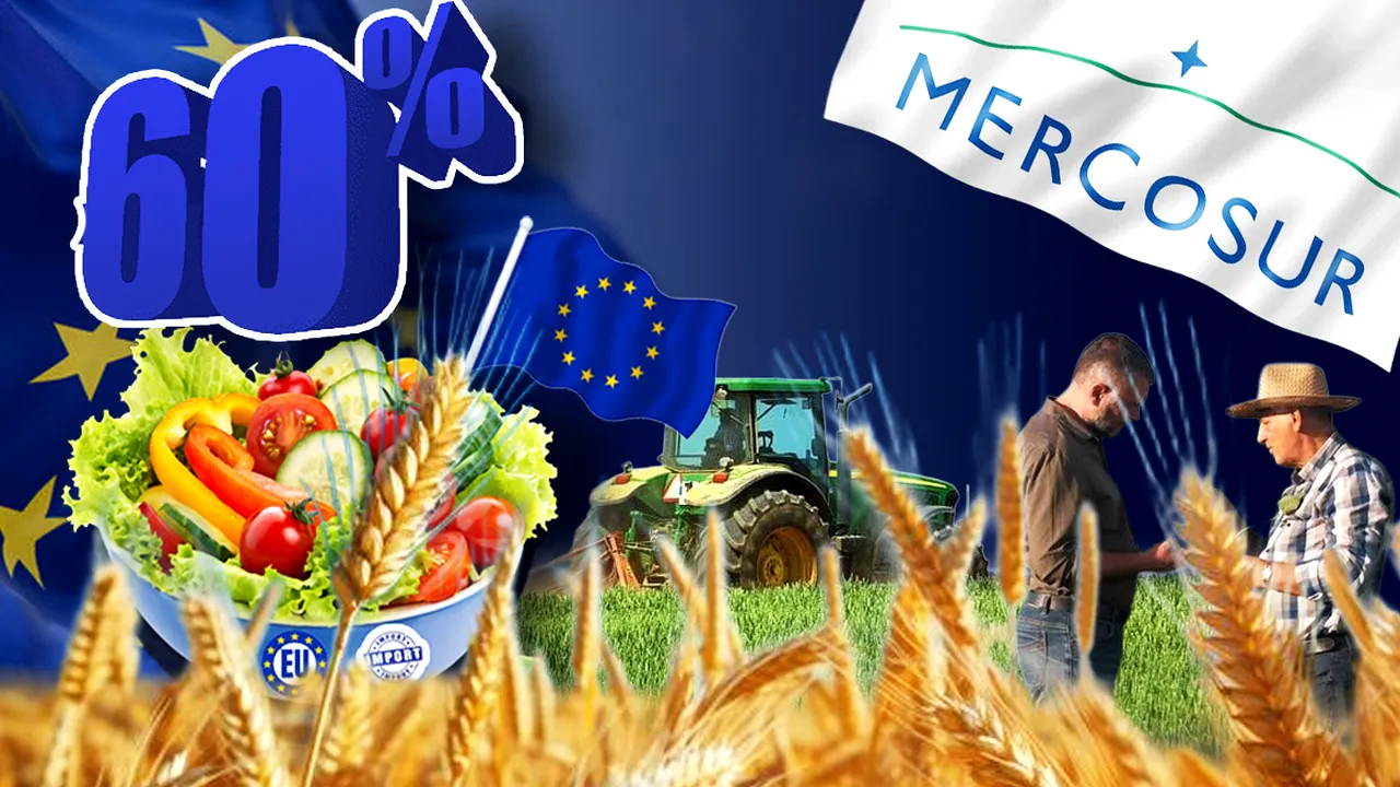 Paradoxul agriculturii României în 2026: suntem cel mai mare exportator de cereale din Uniunea Europeană, dar 60% din legumele din farfurie vin din import. Care sunt explicațiile, ce arată prognozele internaționale și care sunt vulnerabilitățile