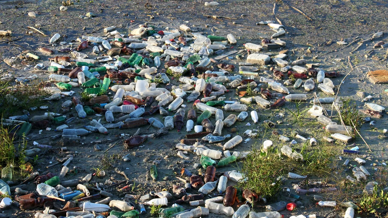 Poluare masivă pe Dunăre, în dreptul orașului Galați: Malul este sufocat de gunoaie și cadavre de animale, după inundații