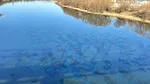 Alertă ecologică în Republica Moldova. Un municipiu ar putea rămâne fără apă din cauza poluări Nistrului. Contaminarea ar veni din Ucraina
