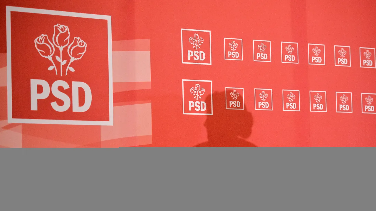 CEx-ul PSD se reunește, marți, după ce Rovana Plumb a fost respinsă de Comisia JURI 