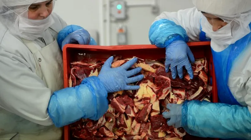 Carne de cal descoperită în lasagna vândută în Slovenia
