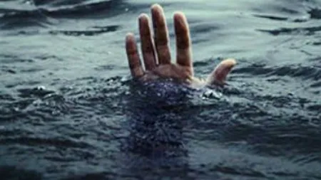 MARTORUL 1136: Un documentar despre Viețile care salvează vieți