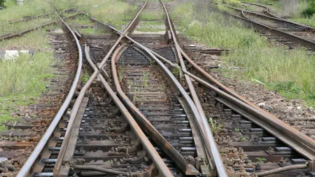 Fiat justitia, pereat Vasile