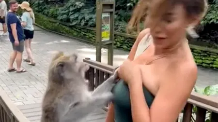 Imaginile au devenit virale! Cum a reacționat această maimuță dintr-o grădină zoologică, atunci când a văzut-o pe Miss Peru