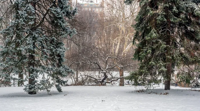 foto ilustrativa: sursa foto: Envato