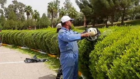 Statul Islamic a deschis un hotel de lux pentru extremiști în Mosul