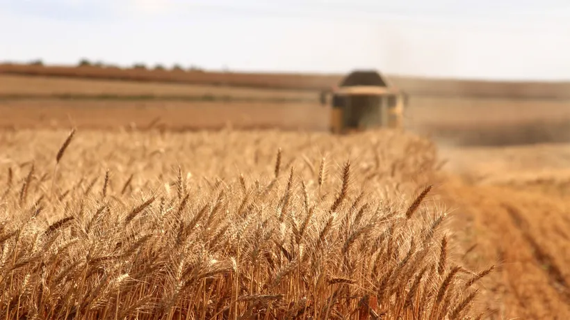 România INSISTĂ pentru prelungirea restricțiilor privind importurile de cereale din Ucraina