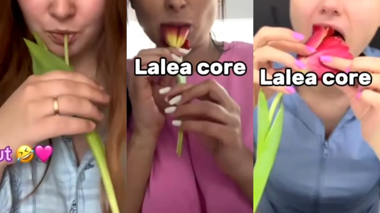 Trendul mâncatului lalelelor pe TikTok a ajuns în vizorul medicilor! Cât de periculoase sunt florile pentru sănătate