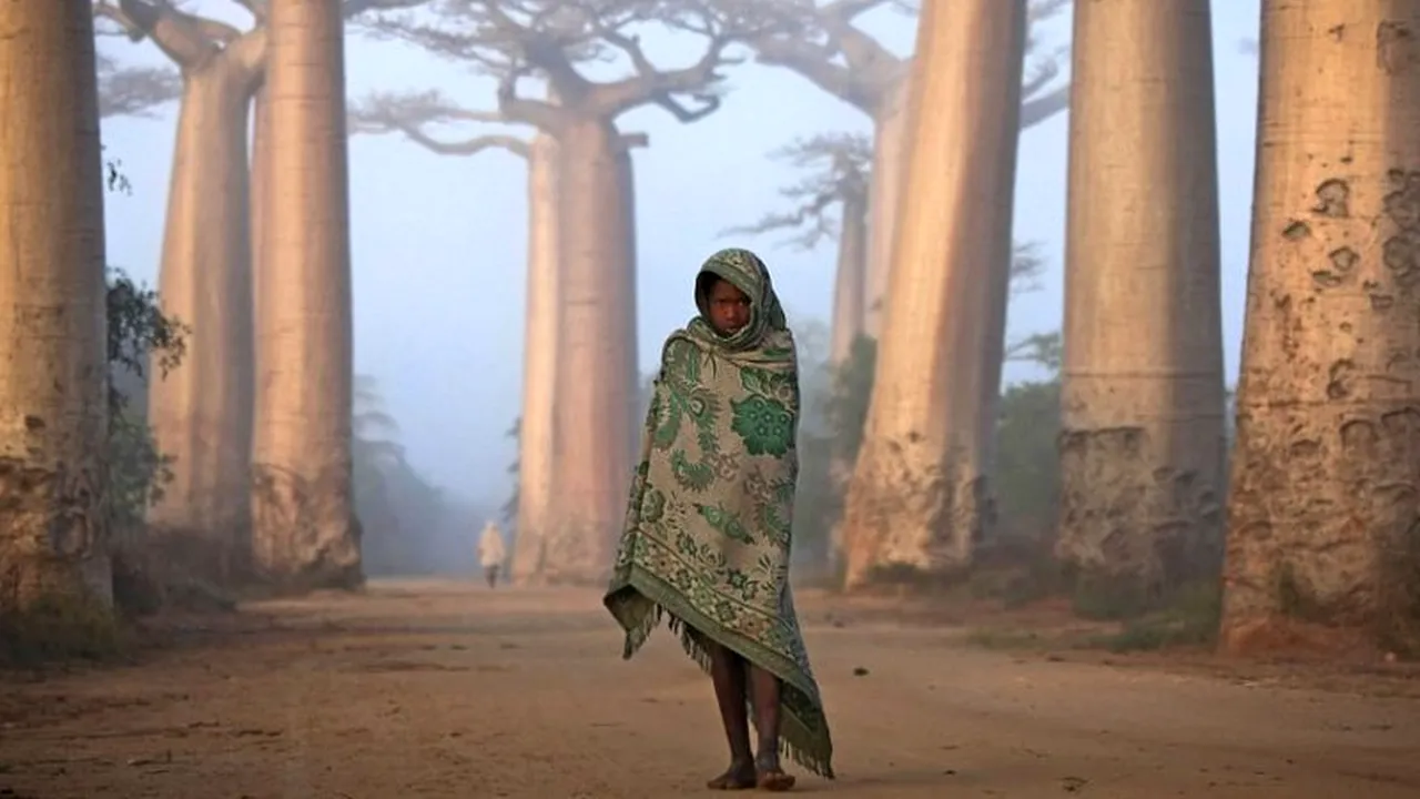 GALERIE FOTO: Cele mai bune fotografii ale anului, premiate de National Geographic Traveler