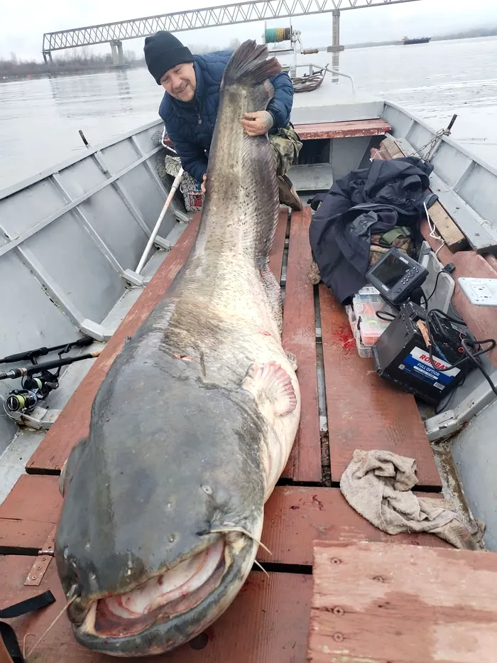 Sursa foto: Facebook/Borcean Cătălin