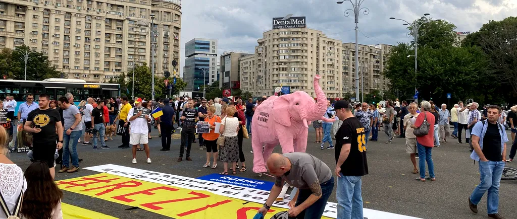 Participanții la protestul „10 august” din Piața Victoriei cer DREPTATE pentru victimele abuzurilor jandarmilor: „Vrem ca vinovaţii să plătească”