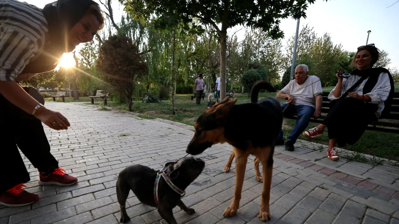 IRAN: Autoritățile anunță extinderea interdicției privind plimbarea câinilor. Care sunt motivele