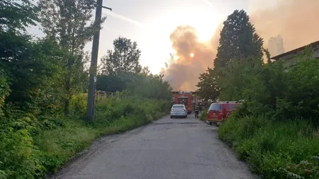 Incendiu puternic la un depozit de paleți din sectorul 2. Pompierii acționează cu 7 autospeciale (VIDEO)