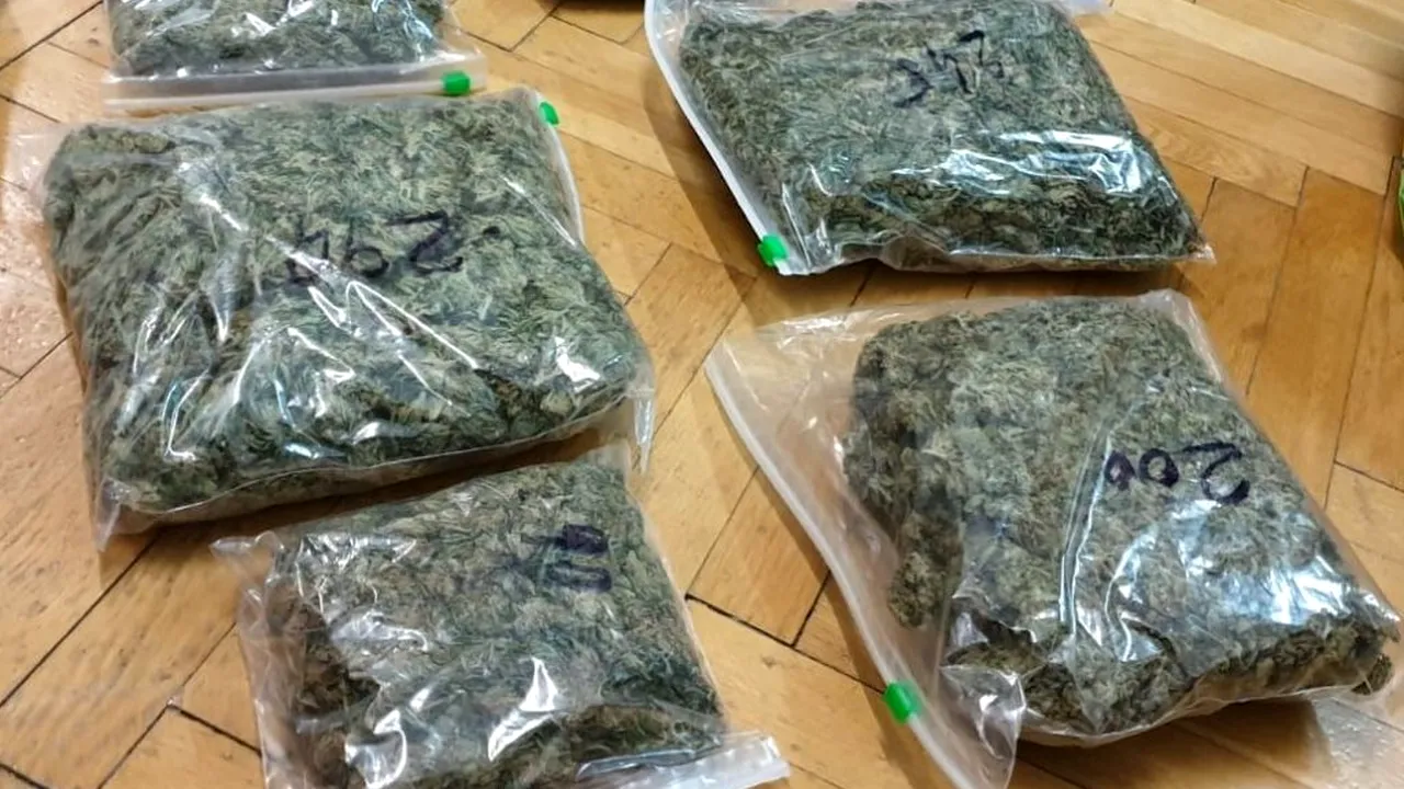 Ziua și flagrantul. Bărbat din Iași, prins de DIICOT în timp ce încerca să comercializeze un kilogram de cannabis