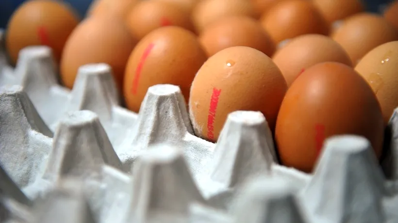 Cum citești codul inscripționat pe coaja ouălor de la supermarket