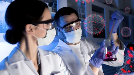 Un nou coronavirus înrudit cu SARS-CoV-2 a fost descoperit de oamenii de știință! Ce spun cercetătorii