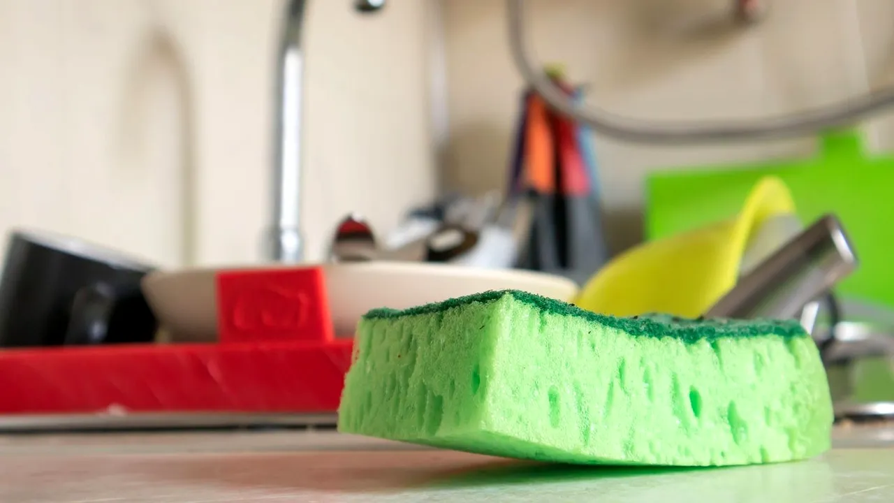 O femeie prezintă o alternativă eco, durabilă, la periculosul burete de vase: „Sper că mai mulți oameni vor face trecerea”