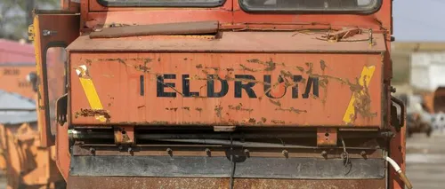 Seism în „imperiul” lui Dragnea: TelDrum cere insolvența fermei de porci Salcia