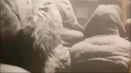 Zeci de pasageri, blocați într-un autobuz în Siberia, transformați de viscol în „oameni de zăpadă