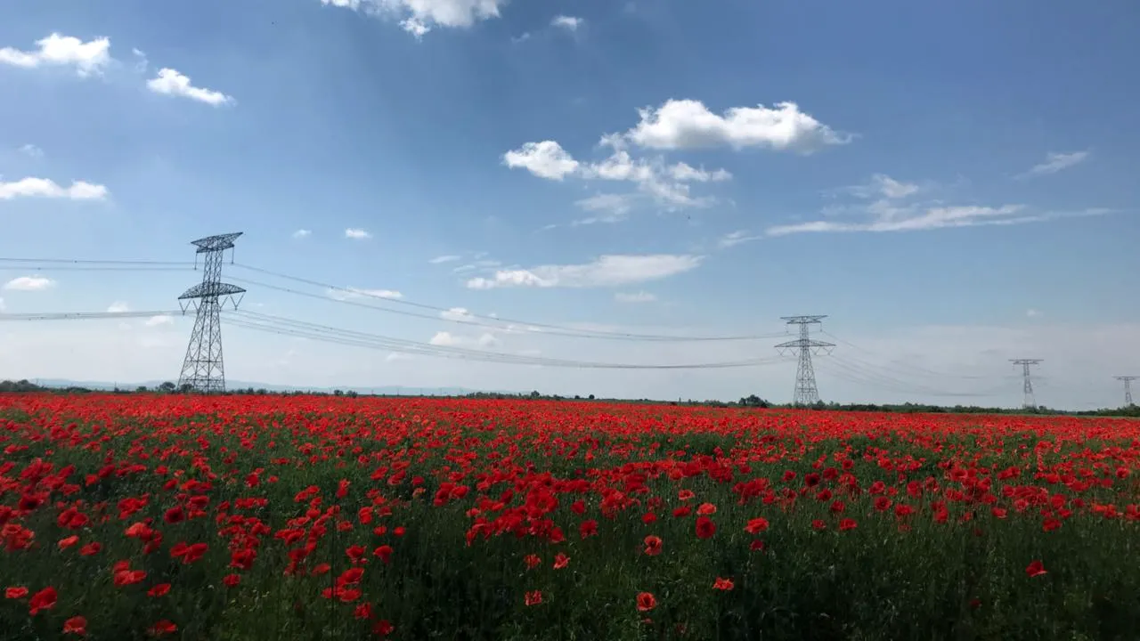 România este exportator net de energie electrică de Paște. Ploile și vântul au crescut producția din Sistemul Energetic Național