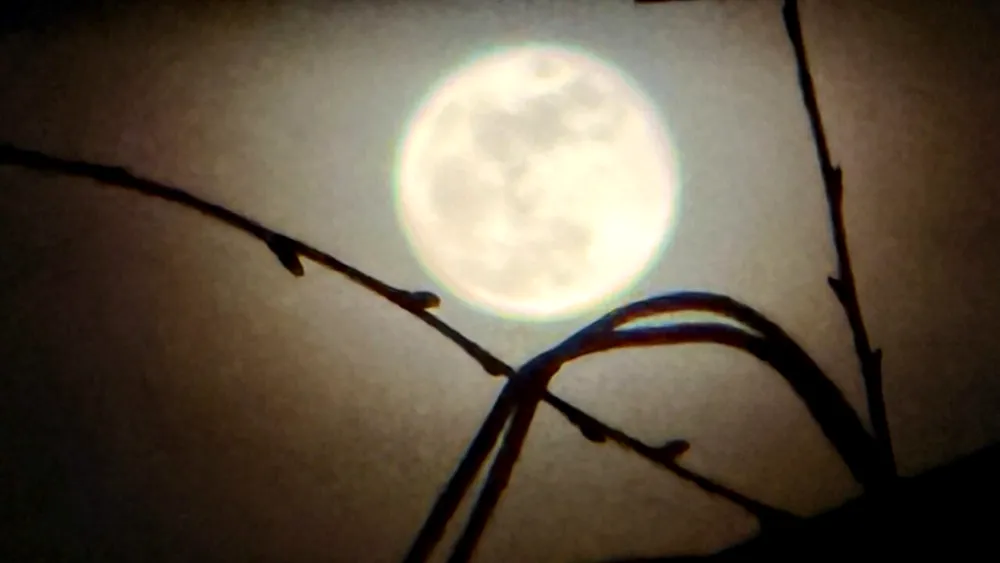 Spectacol pe cer. „Luna roz” în plină splendoare