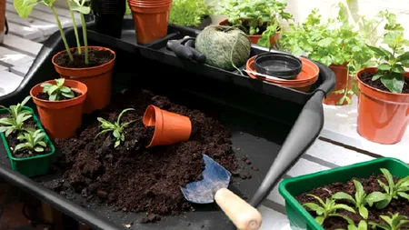 Descoperirea care ar putea rezolva problema încălzirii pe timp de iarnă