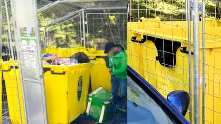 Un livrator a fost surprins lângă o ghenă de gunoi din Cluj, cu geanta de mâncare printre gunoaie: „Fie a abandonat-o, fie a uitat-o!”