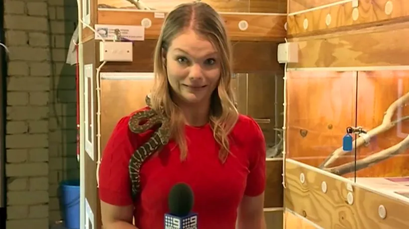 Clipe de coșmar pentru o jurnalistă din Australia. Ce a pățit tânăra în timp ce filma un reportaj despre șerpi: „Luați-l de pe mine” - VIDEO