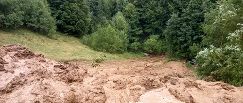 Alunecare de teren în Braşov. Zeci de animale au murit