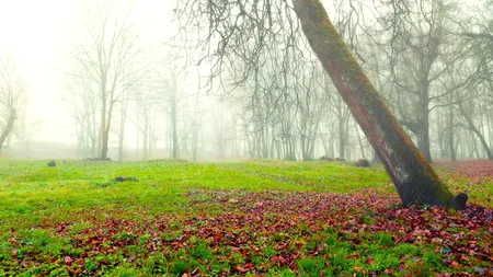 Vremea este rece și mohorâtă în sud și sud estul țării. Cum se anunță temperaturile până la sfârșitul săptămânii