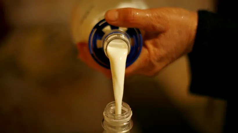 De la ce cantitate de lapte contaminat consumat pe zi ai probleme de sănătate. Alimente care pot conține toxina cancerigenă