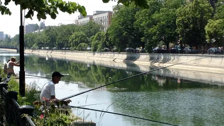 Doi bărbați au fost prinși în timp ce pescuiau în centrul Capitalei. Ce i-a încurajat pe braconieri