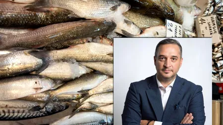 Cum vă dați seama dacă PEȘTELE din piață sau magazin este stricat. Recomandările lui Paul Anghel, șeful ANPC