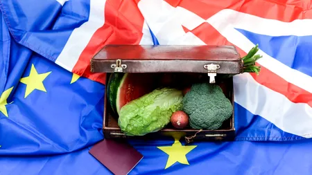 Efectele BREXIT: Exporturile de alimente ale Marii Britanii către UE au scăzut cu 3,6 miliarde de euro pe an