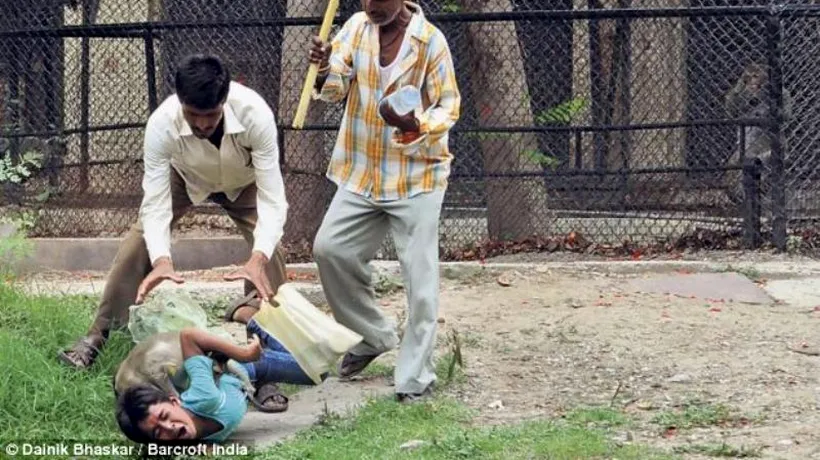 Momente teribile pentru un băiat indian atacat de o maimuță. GALERIE FOTO