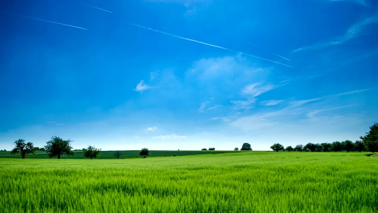 Clubul Fermierilor Români: Reforma PAC şi aplicarea Pactului Ecologic European sunt noile provocări pentru agricultură