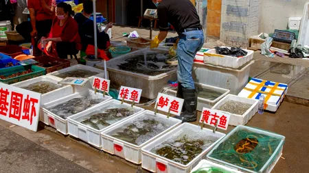 Alertă în China: A fost descoperită o bacterie care cauzează holeră, într-o piață din Wuhan / Cine este pacientul „zero”