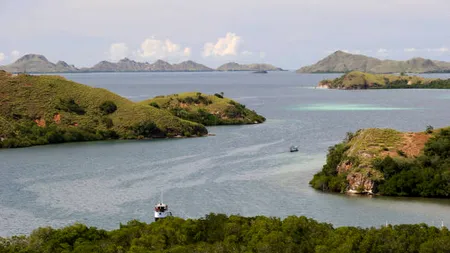 Imagini dramatice surprise de un fotograf în Zambia