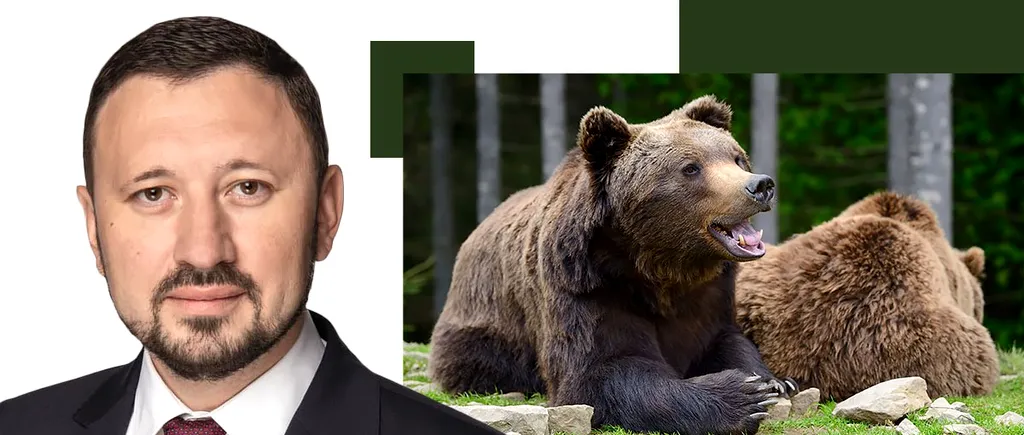Ministrul Mediului, Mircea Fechet:Un urs hrănit de oameni e un URS condamnat la moarte