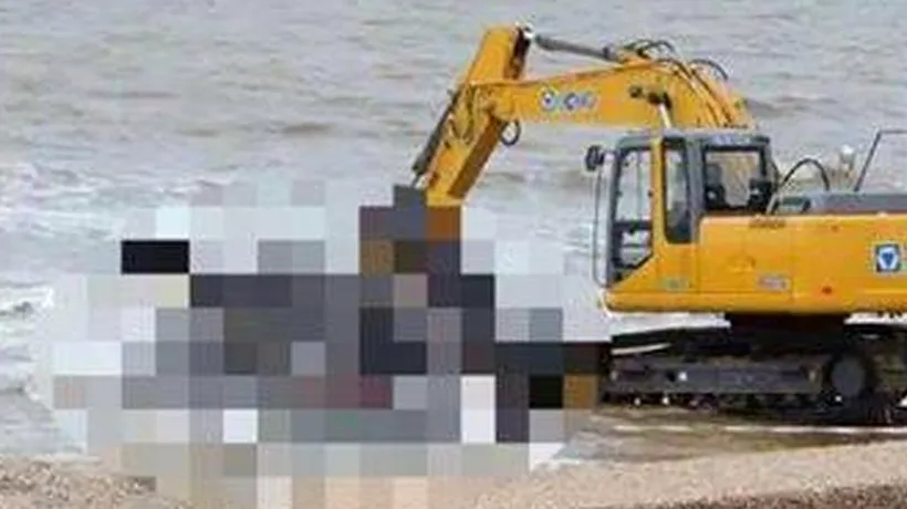 Incident inexplicabil în Uruguay. Un cașalot a fost găsit mort pe o plajă VIDEO